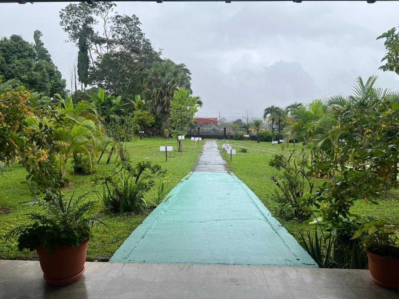 Casa Eva Lodging Costa Rica San Isidro De El General 外观 照片